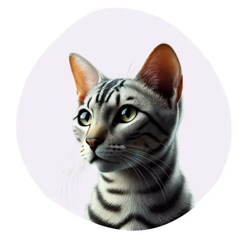 Mau Egyptien